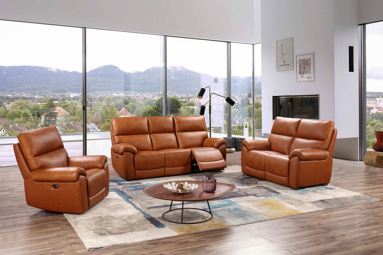 Leather Recliner Couch